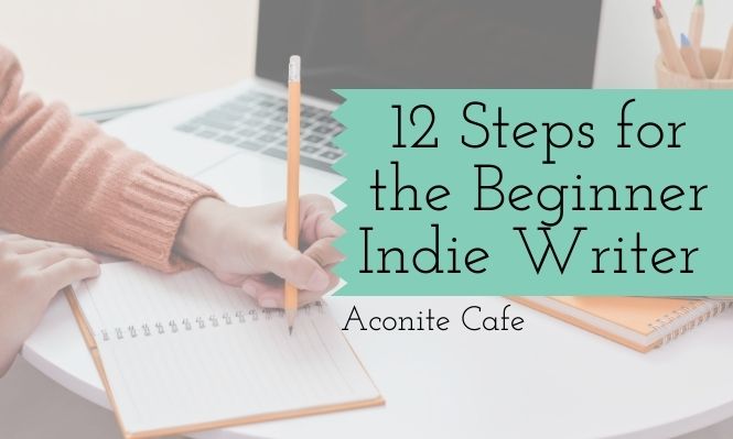 12 Steps for the Beginner Indie Writer